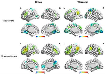 Occupation-modulated language networks and its lateralization: A resting-state fMRI study of seafarers